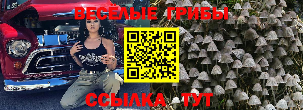 Златоуст  Галлюциногенные грибы ЛСД  где найти наркотики  Вход с VPN 