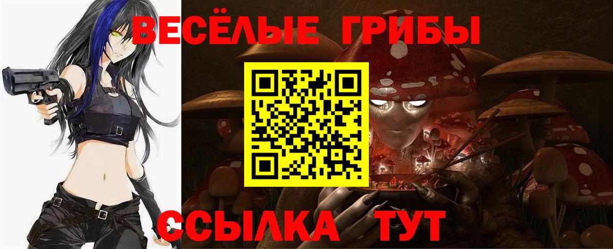 Псилоцибиновые грибы Cubensis Златоуст